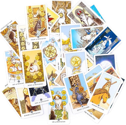 🐱✨ Catarot: Lectura de Tarot Solidaria✨🐱