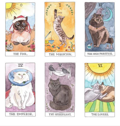 🐱✨ Catarot: Lectura de Tarot Solidaria✨🐱